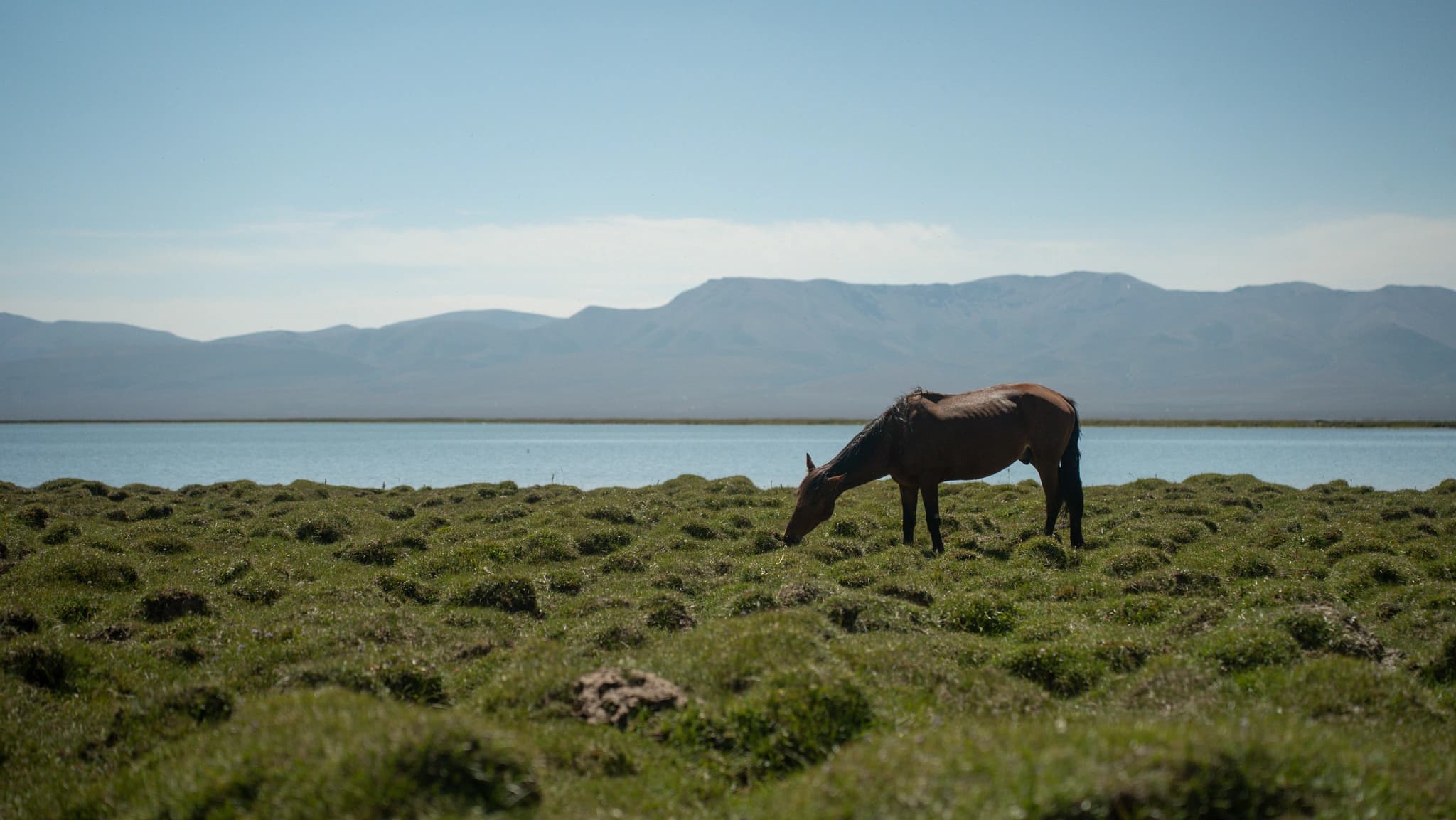Song-Kol Lake panorama with mountain backdrop