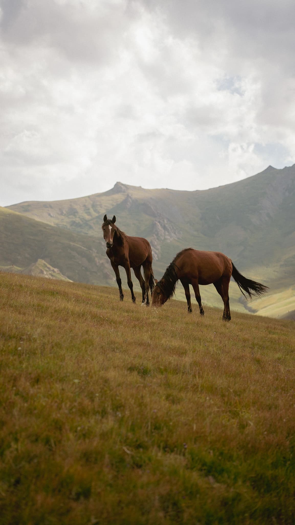 Ancient architectural details