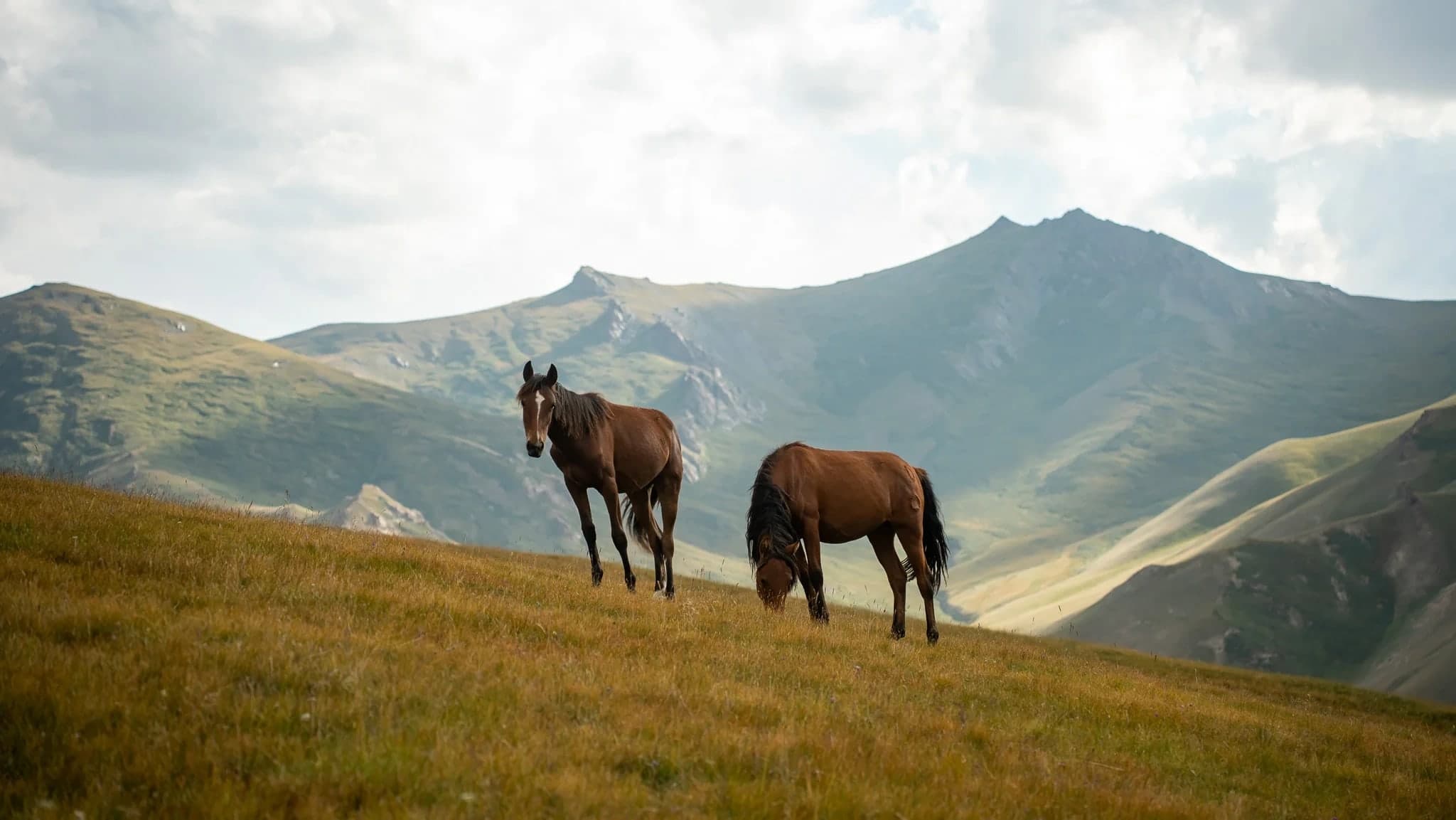 Kyrgyzstan reisfotografie