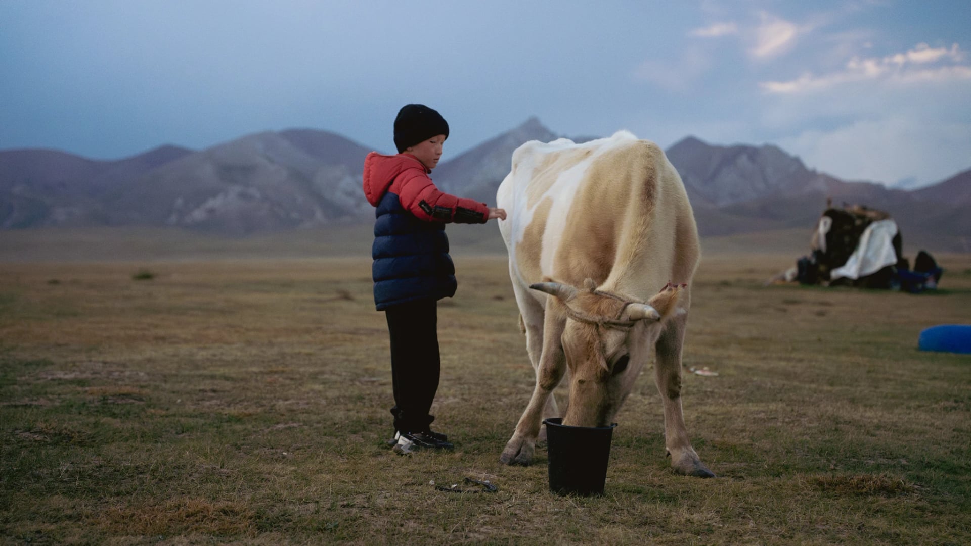 Yurt Camping at Song-Kul