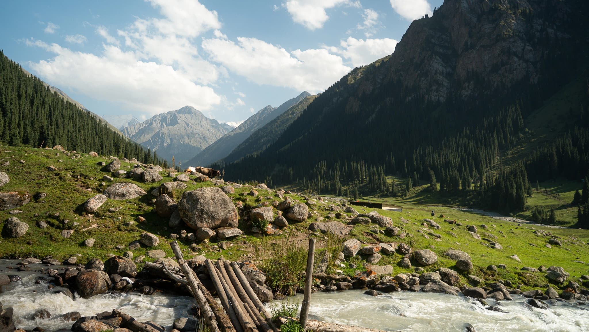 Snow-capped peaks surrounding the valley