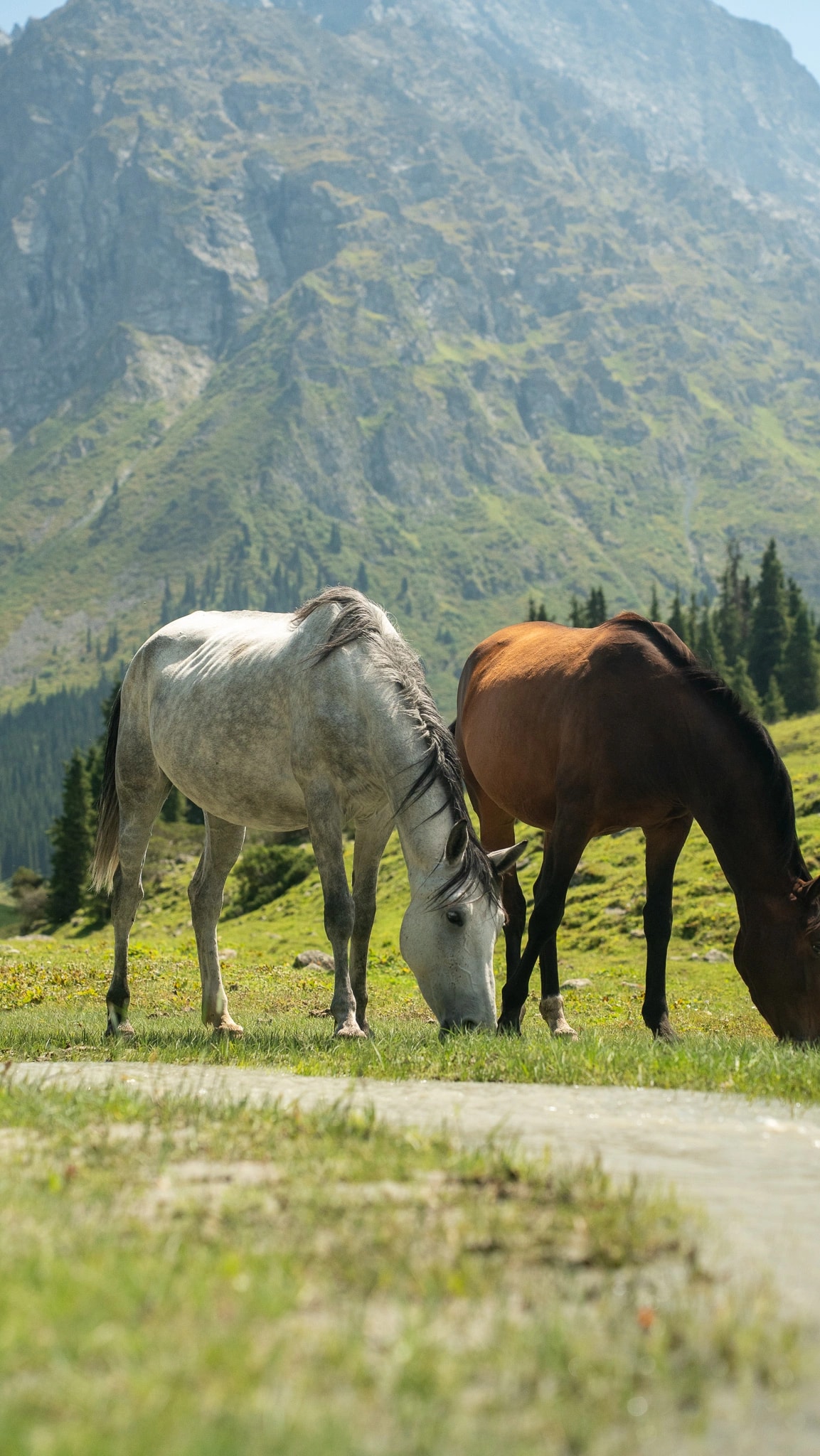 Pristine valley view with glacier