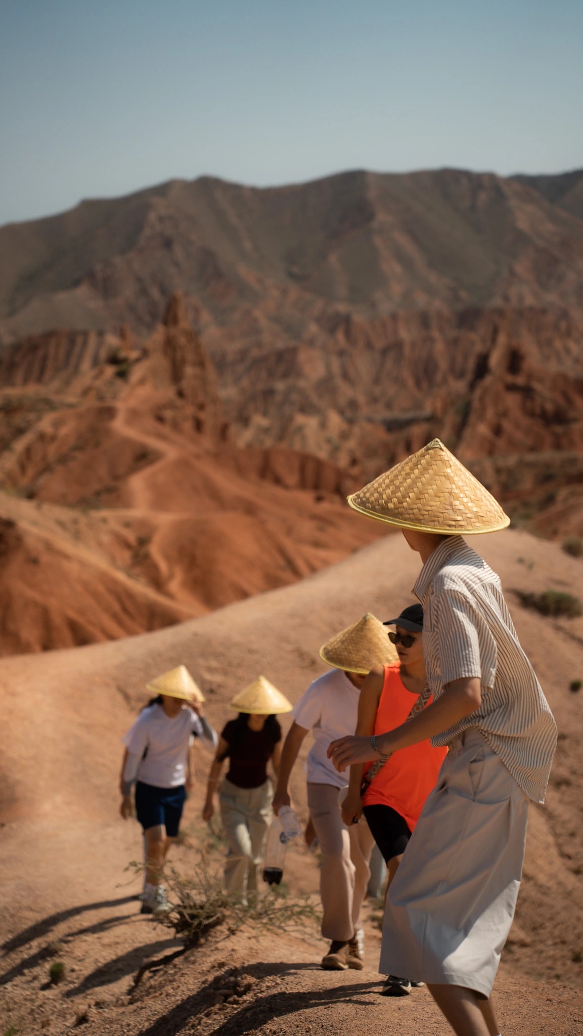 Eagle hunting demonstration in action